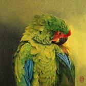 Зеленый попугай.
